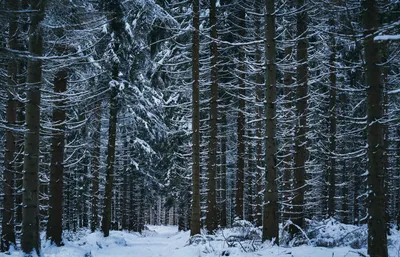 Где красиво зимой. 20 фотографий зимней сказки