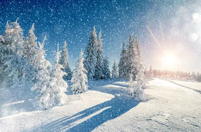 Сказочные зимние пейзажи во всем мире