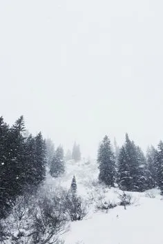 зимний фон, деревья, акварель, Снежная сцена фон картинки и Фото для  бесплатной загрузки