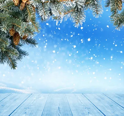 800+ зимних фонов - Скачайте бесплатно - Pixabay