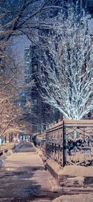 Идеи на тему «Зимний город» (410) | город, зимние картинки, пейзажи