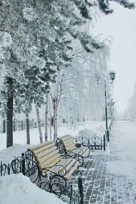 рождество красный зимний вырезанный из бумаги город снежинки Фон Обои  Изображение для бесплатной загрузки - Pngtree