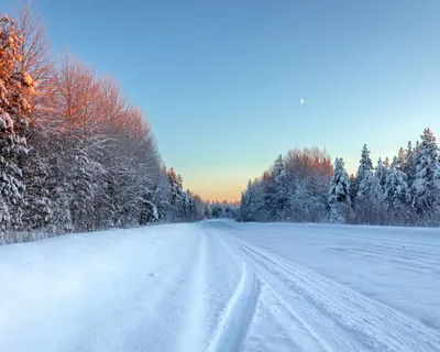 Самый красивый зимний лес в мире | SIBEXPEDITIONS | Научно-приключенческий  туризм