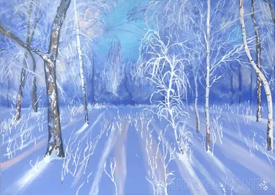 Как живёт зимний лес? Фотоотчёт для души | Татьяна Чепурнова | Дзен