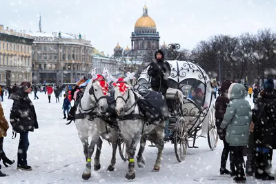 Зимний Петербург