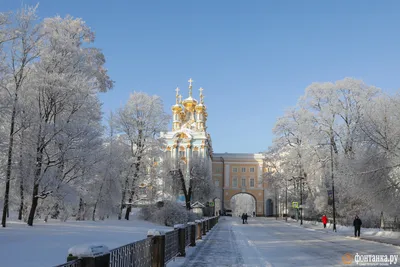 Зимний дворец (Санкт-Петербург): фото и отзывы — НГС.ТУРИЗМ