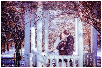 Фотографія Зимний поцелуй / Марина Стафик / photographers.ua