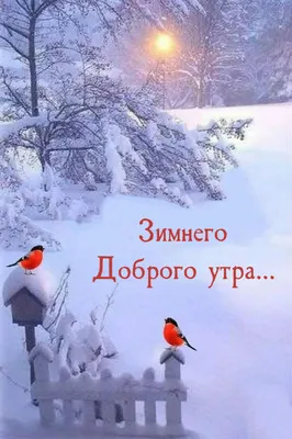 Мир позитива - Сказочная зимняя красота! ❄❄❄ | Facebook