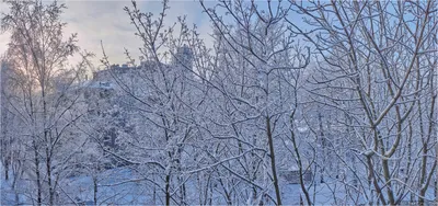 Зима, снег, камин, потрескивание дров, зимний двор, вид из окна - YouTube