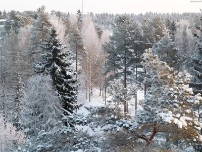 Вид из окна-зима :: Юрий Губков – Социальная сеть ФотоКто
