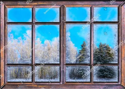 Сочинение на тему: «Вид из моего окна зимой» — Природа Мира