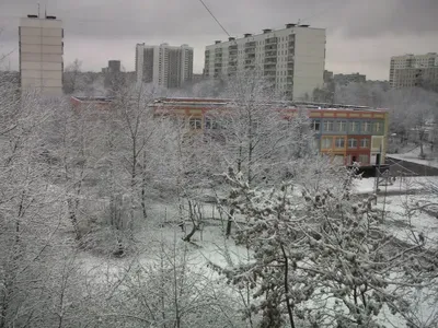 Зимний вечер. Вид из окна гостиной на запад