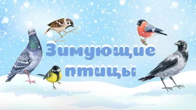 Шнуровки «Зимующие птицы» | mamadelkimamadelki