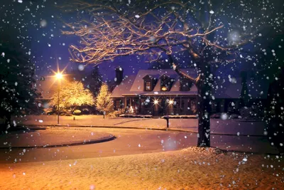Фон зимняя ночь (58 фото)