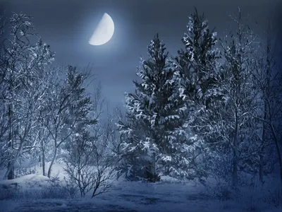 Зимняя ночь фон - 63 фото