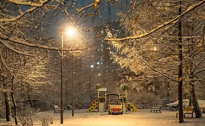 Ночь на 5 декабря стала самой холодной с начала зимы в Москве — РБК