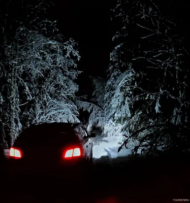 Машина ночью зимой в лесу - 74 фото