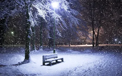 Картинки зима, парк, снег, ночь, скамейка, фонари, природа, город - обои  1280x800, картинка №189864
