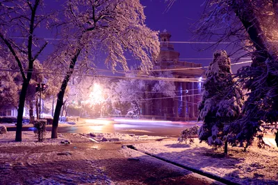 Зимняя русская дорога ночью • Блогофолио Романа Паулова