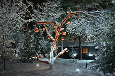 обои зимний дом ночью, картина зимней ночи, зима, ночь фон картинки и Фото  для бесплатной загрузки