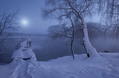 Зимняя ночь. Photographer Aleksandr Gvozd