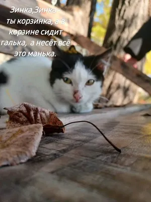 Зинка-москвичка (2018): фото, кадры и постеры из - Вокруг ТВ.