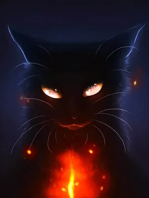 Опасный злой кот на аватарку,злой …» — создано в Шедевруме