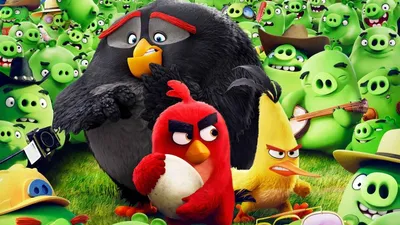 ANGRY BIRDS Злые Птички (синий) арт. 8762-8763 купить | Интернет-магазин  NeoMama