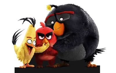 Злые птички для детского праздника#имбирныепряники #имбирноепеченье  #расписныепряники #angrybirds #angrybirdscookies #royalici… | Детский  праздник, Праздник, Птички