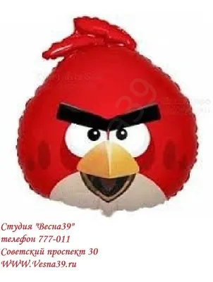 Angry Birds — Злые Птички в дар (Москва). Дарудар