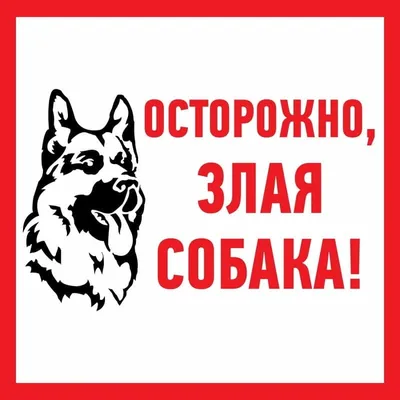 Нейросеть в России могут приспособить для отслеживания агрессивных собак -  Российская газета