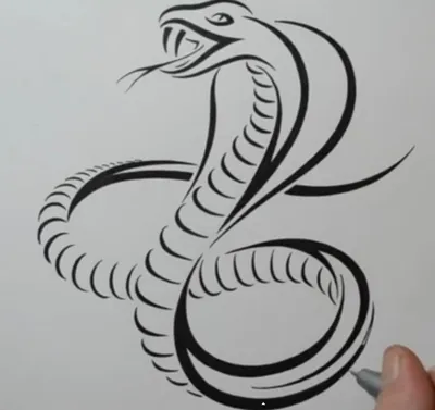 Изолированный объект змеи иконки ядовитой и ядовитой значки Графический  рисунок значка змеи и вектора обложки для склада Иллюстрация вектора -  иллюстрации насчитывающей кобра, хищник: 158667952