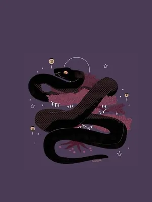 рука, нарисованная змеей в стиле зентаго Иллюстрация штока - иллюстрации  насчитывающей каракули, орнамент: 240030928