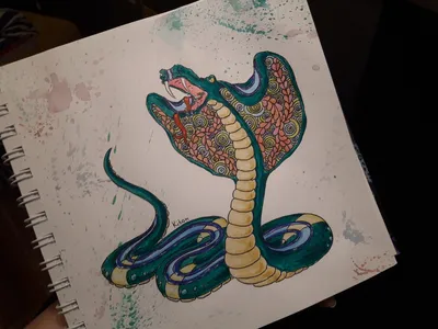 Рисунки змеи для срисовки (100 фото) • Прикольные картинки и позитив
