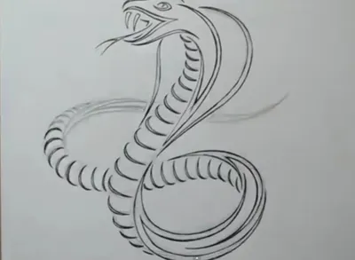 Змея простой рисунок для детей - 63 фото