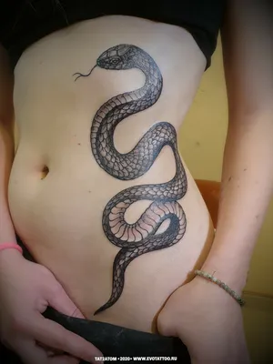 Татуировка змеи, значение. — Кристина Щетинина на TenChat.ru