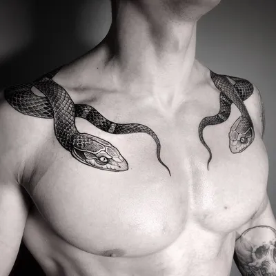 Snake tattoo | Татуировки тела, Татуировки, Современные татуировки