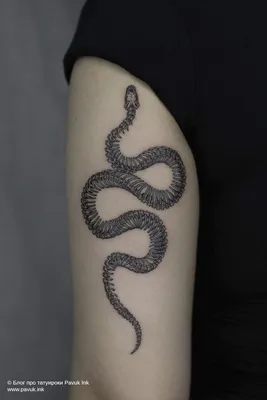 Тату скелет змеи | Блог про татуировки pavuk.ink | Вдохновляющие татуировки,  Племенная татуировка, Татуировки со скелетами
