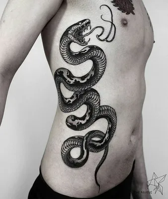 Татуировки змеи: значение, + 27 фото