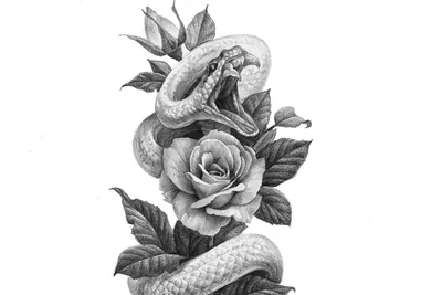 Тату эскизы \"Змея\" - VeAn Tattoo
