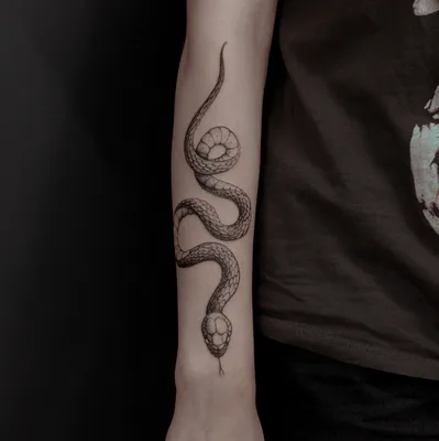 Тату змея. Тату на руке | Old tattoos, Tattoos, Skin