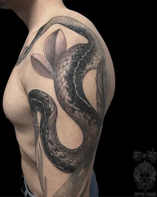 Татуировка на тело цветная \"Две змеи. Небесные узоры\" 10,5х6 см купить в  Чите Татуировки в интернет-магазине Чита.дети (9877875)