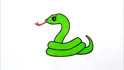 Ящеричная змея (Malpolon monspessulanus)