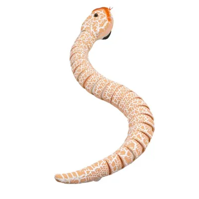 Огромная двухголовая гремучая змея удивила змеелова: Звери: Из жизни:  Lenta.ru