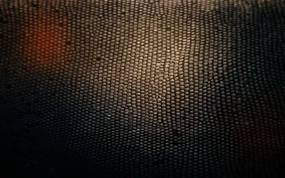 Нанесение декоративной штукатурки Змеиная кожа Plasma 3D | Цены на  декоративное покрытие стен от 1600 руб. за кв. метр