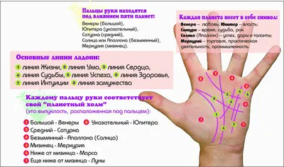 Толкование редких знаков на руке в хиромантии | Лисичка | Дзен