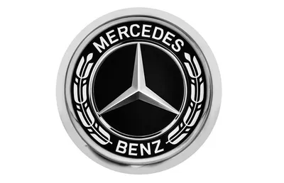 Значок Mercedes-benz B66953551 Silver-coloured/Black - купить в Москве,  цены на Мегамаркет