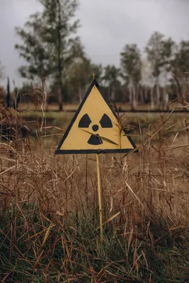 Значок радиации, символ радиоактивности, изолированные на зеленом фоне. |  Премиум векторы