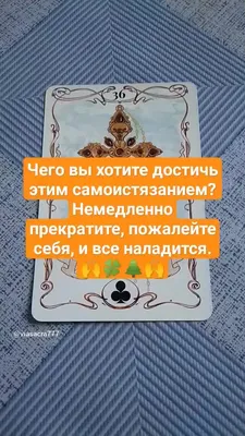 Знак свыше. Иронические рассказы | Слуцкий Владимир - купить с доставкой по  выгодным ценам в интернет-магазине OZON (962828965)