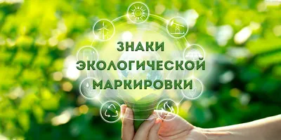 условные знаки к правилам экологической безопасности - Школьные Знания.com